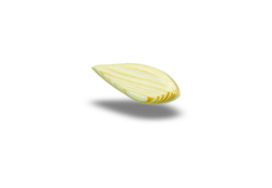 Squarepusher 11 cm un-painted wooden lure blank