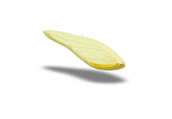 Ticsaren 17 cm un-painted wooden lure blank