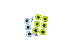 WTP 3D Ögon 19 mm 12 pack
