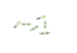 Rasselkammare 25-pack Glow
